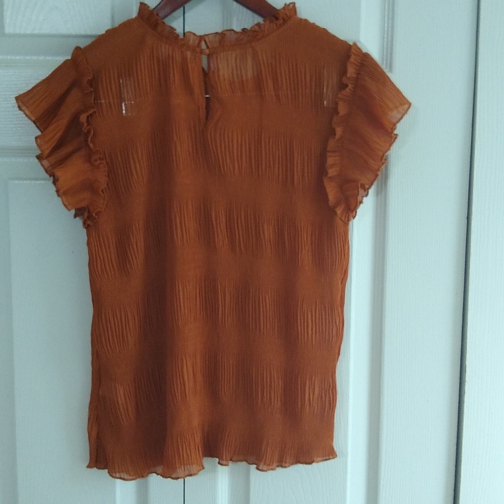 Beautiful Fall shir ruffles shirt top size small - Picture 7 of 8